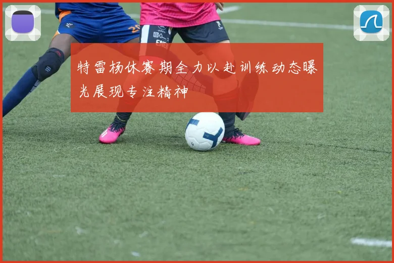 特雷杨休赛期全力以赴训练动态曝光展现专注精神